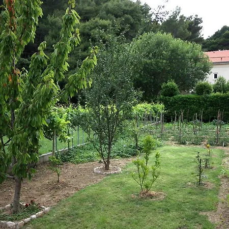 With Parking Space Palit, Rab - 5028 *