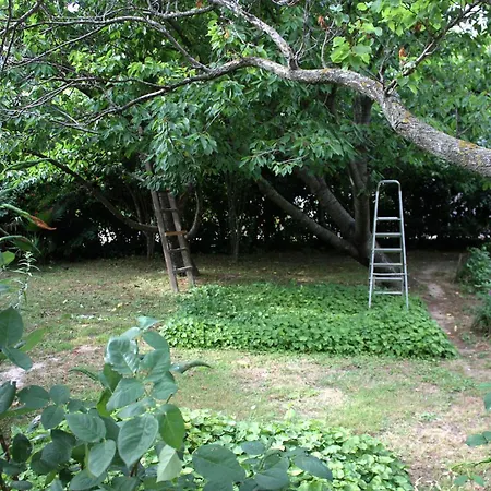 アパート With Parking Space Palit, Rab - 5028 Palit