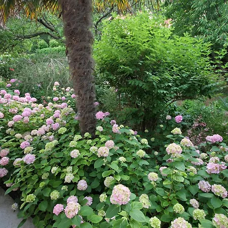 With Parking Space Palit, Rab - 5028 * Palit