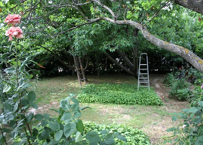 公寓 With Parking Space Palit, Rab - 5028 Palit